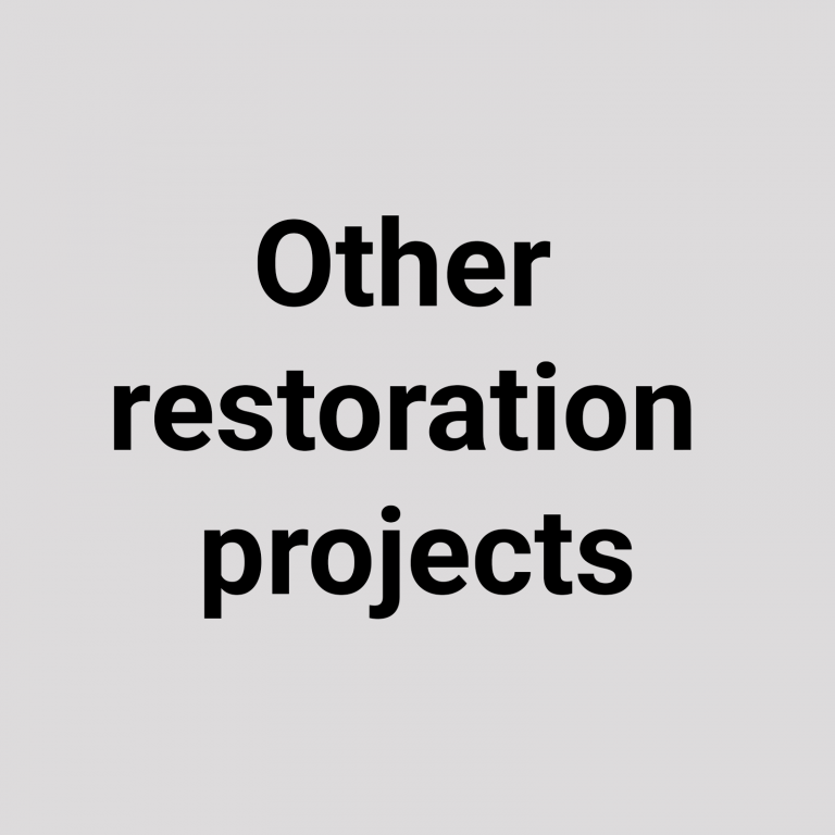 Opera Navarra, other restoration projects